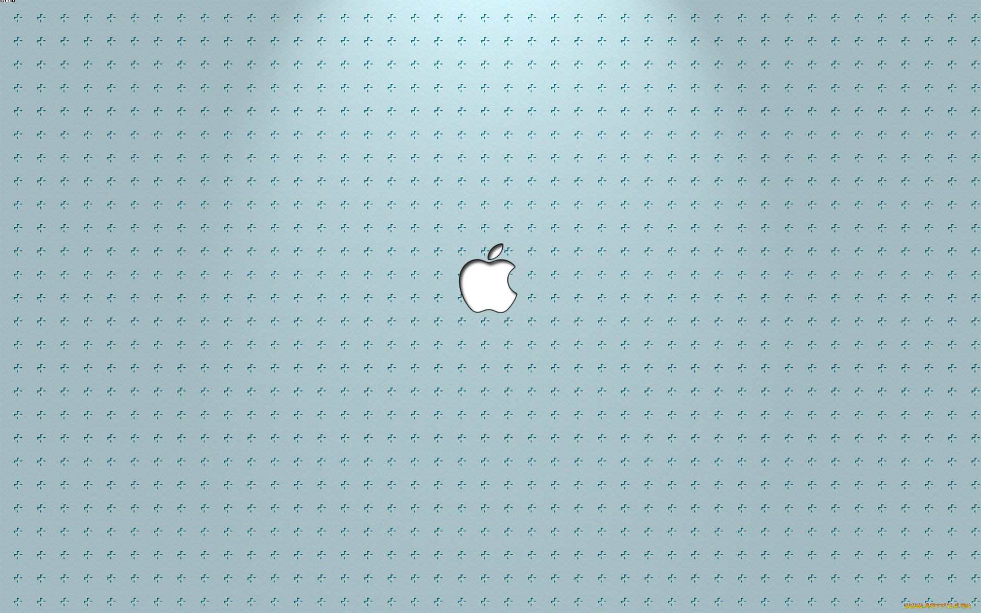 , apple, , 